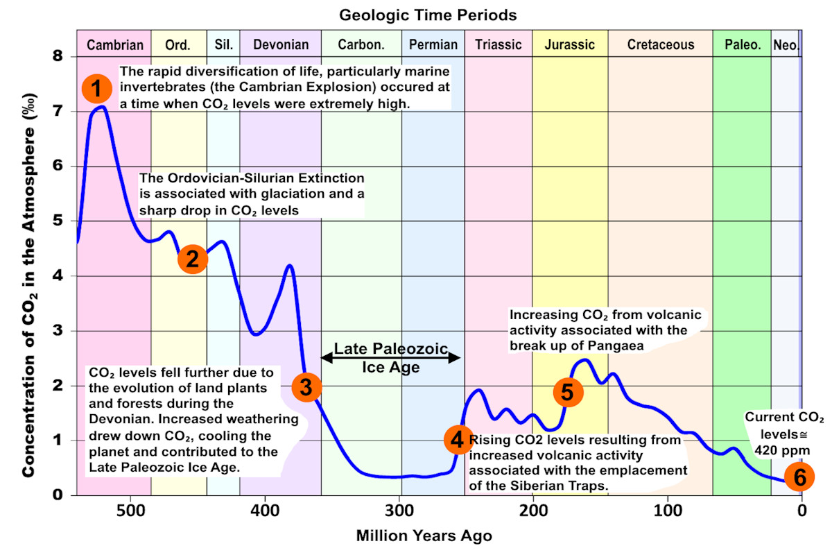 Graph of Phanerozoic carbon dioxide levels