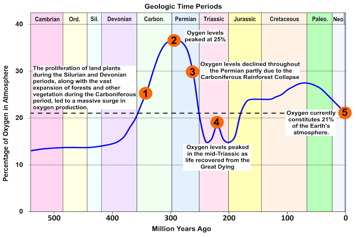 Graph of Phanerozoic oxygen levels